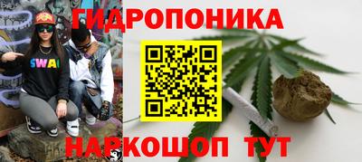 гидропоника Кулебаки