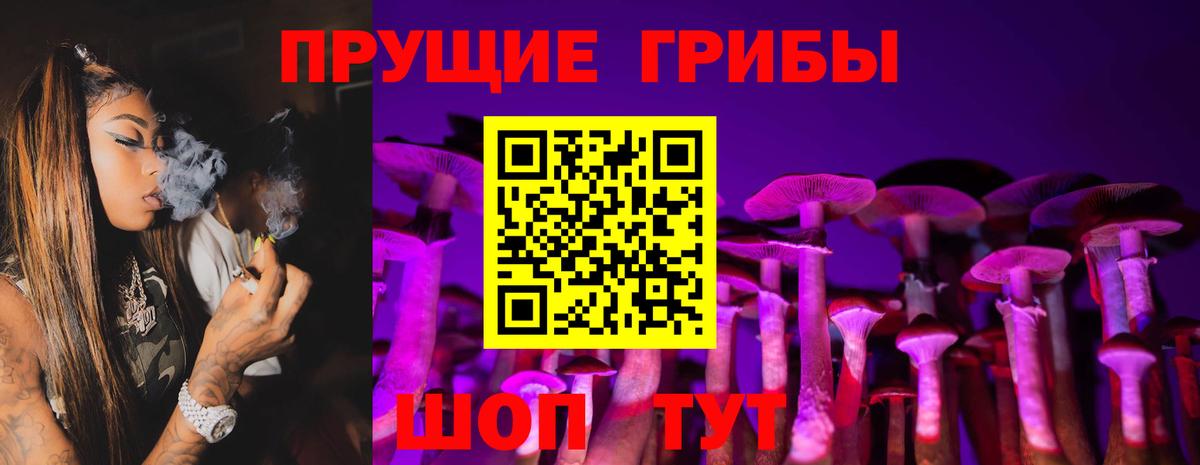 Псилоцибиновые грибы GOLDEN TEACHER Киселёвск